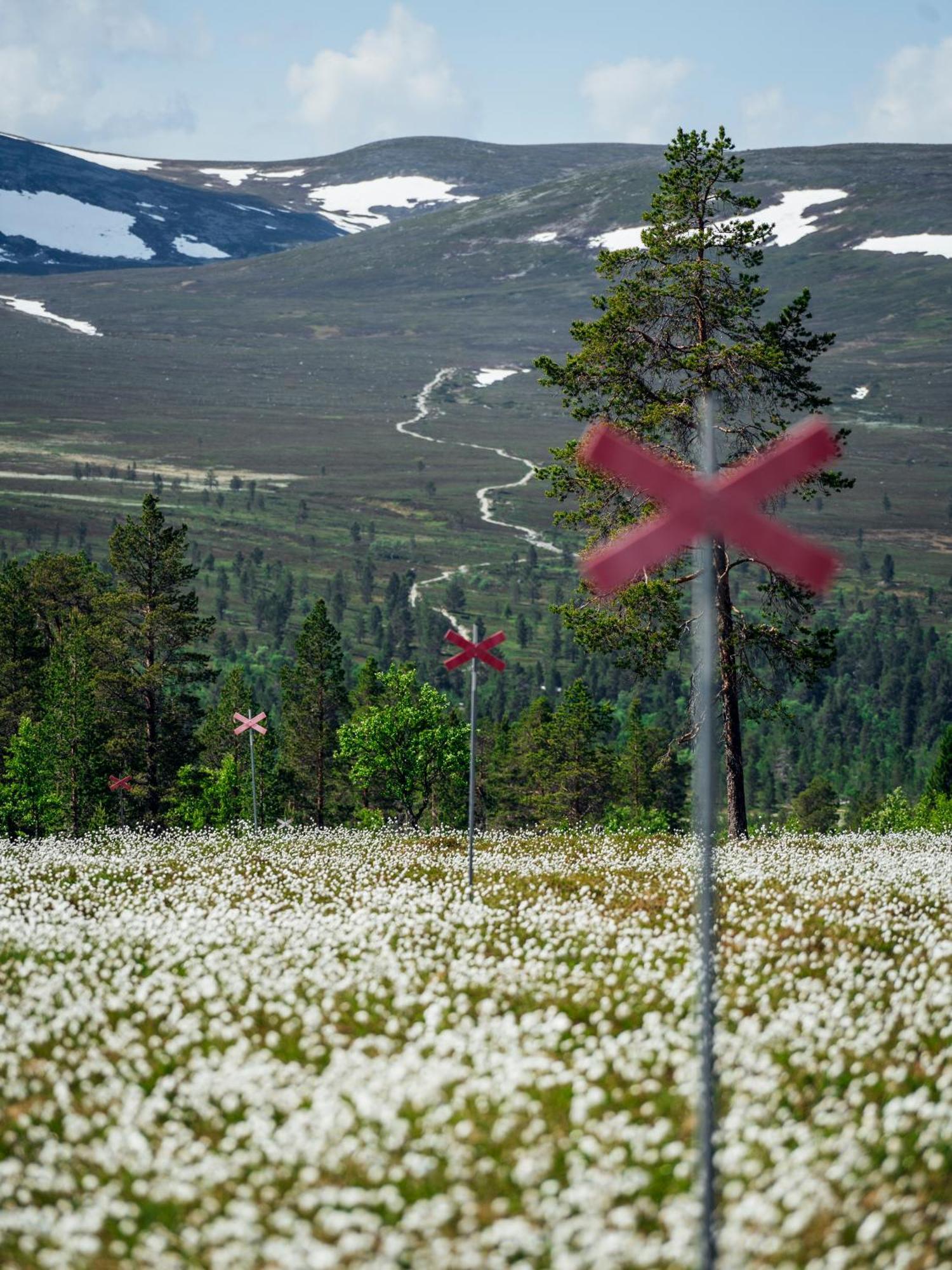 Lövåsgårdens Fjällhotell Lovasen Exterior foto
